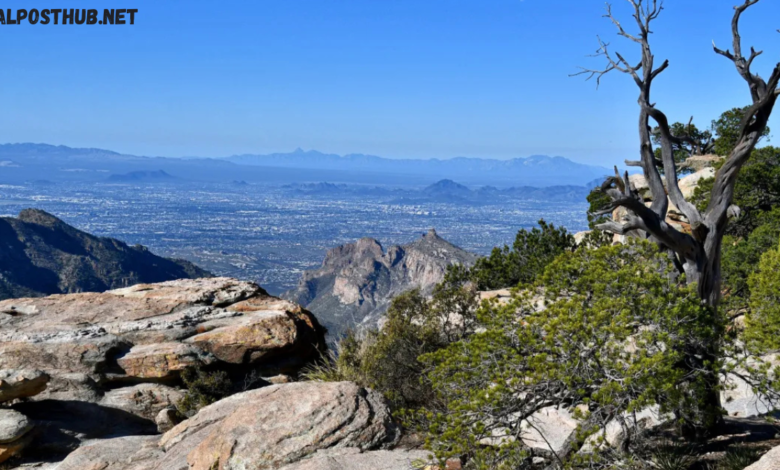 windy point vista