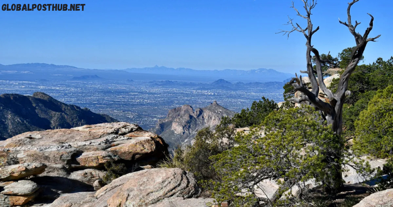 windy point vista